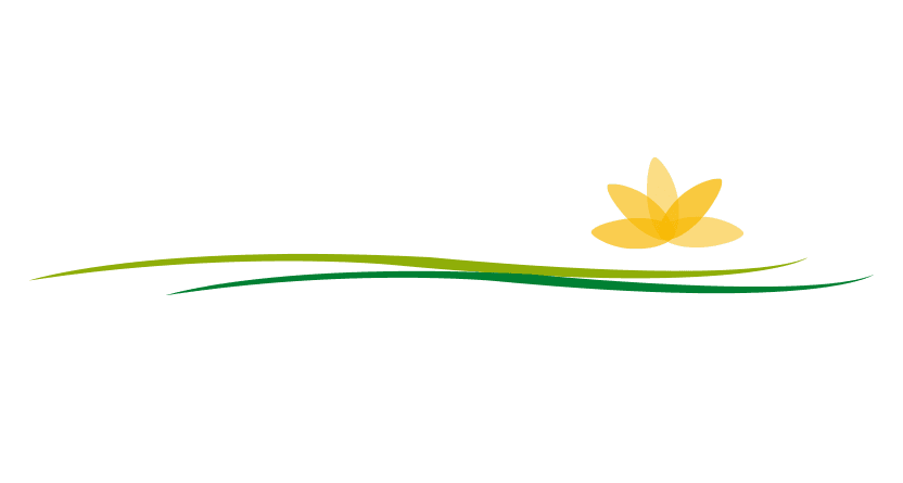 ibarlucea