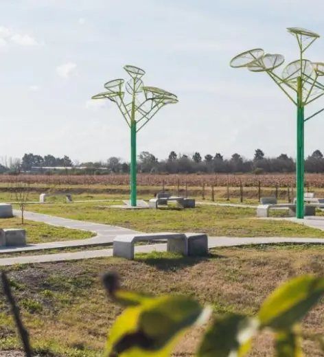 Parque con esculturas verdes en forma de árbol y bancos entre viñedos